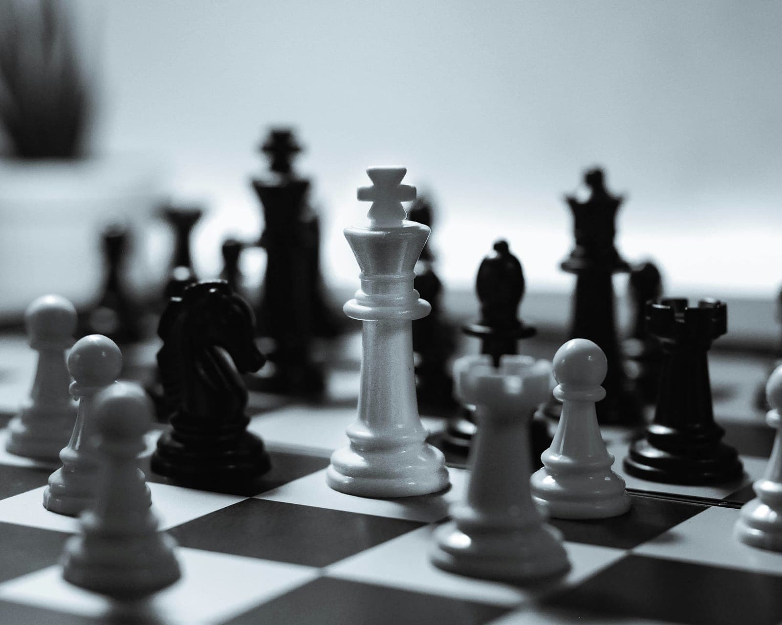 Chess action